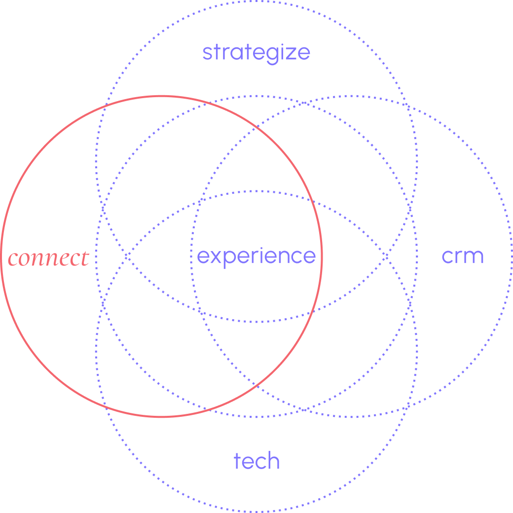 Image showing the five circles strategize, connect, experience, crm and tech of mai group and the connect circle is highlighted