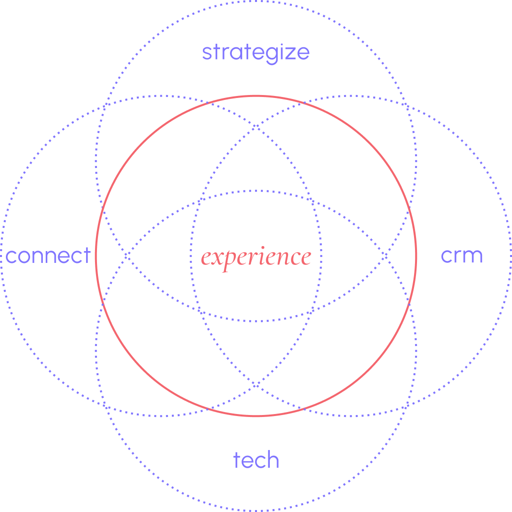 Image showing the five circles strategize, connect, experience, crm and tech of mai group and how they overlap in the experience domain