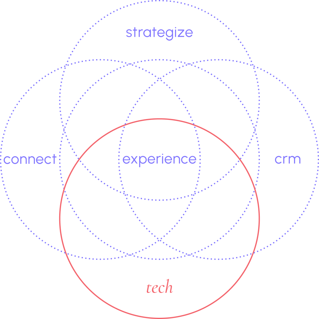 Image showing the five circles strategize, connect, experience, crm and tech of mai group and the tech circle is highlighted