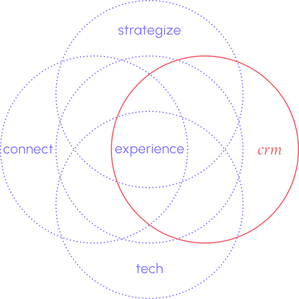 Image showing the five circles strategize, connect, experience, crm and tech of mai group and the crm circle is highlighted