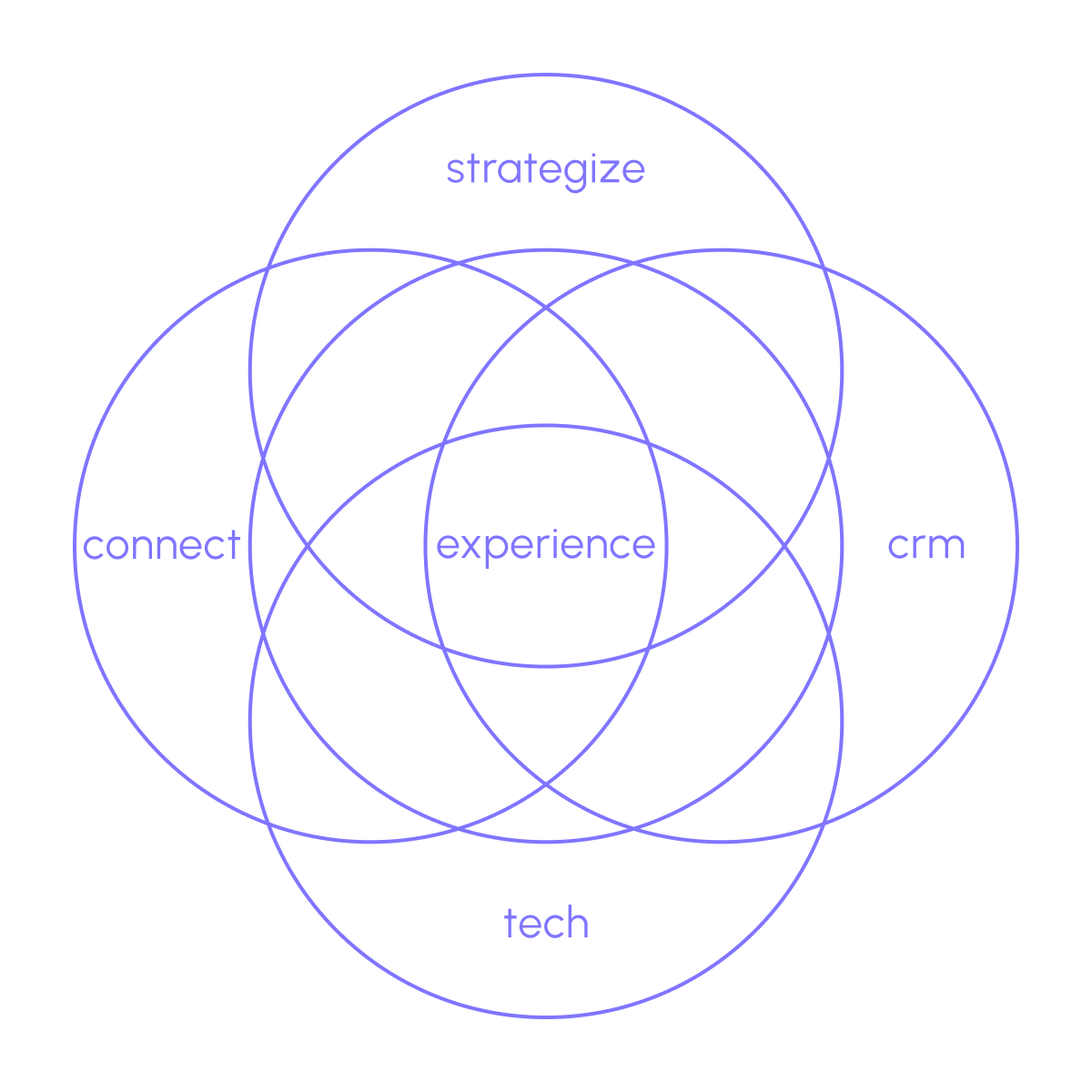 Image showing the five circles strategize, connect, experience, crm and tech of mai group